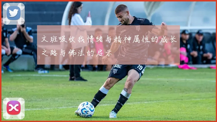 文班吸收我情绪与精神属性的成长之路与佛法的启示