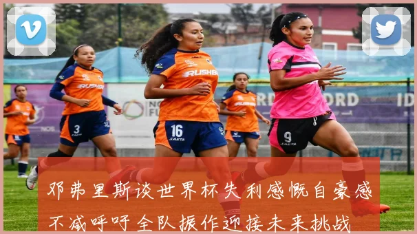 邓弗里斯谈世界杯失利感慨自豪感不减呼吁全队振作迎接未来挑战