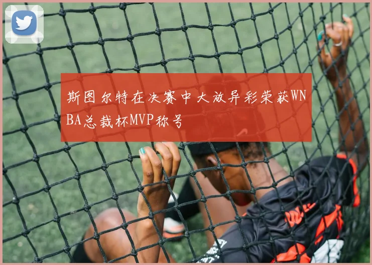 斯图尔特在决赛中大放异彩荣获WNBA总裁杯MVP称号